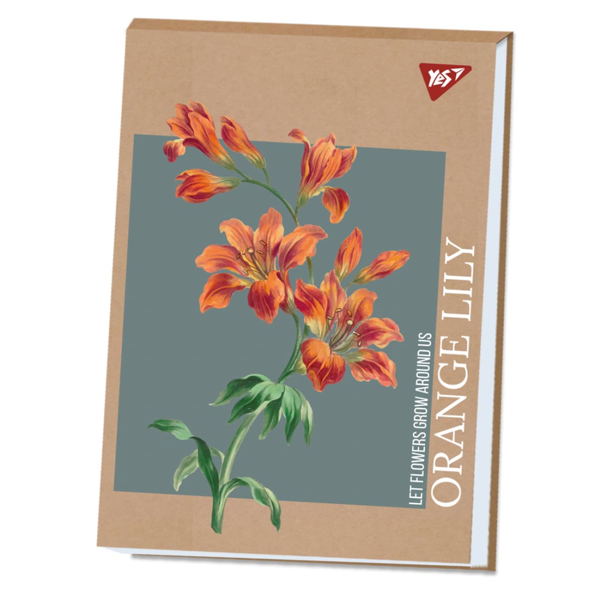 Альбом для малюв. склейка 40/100 А4 "Lily" крафт білила №130584/Yes — купити | Канцелярський Сад