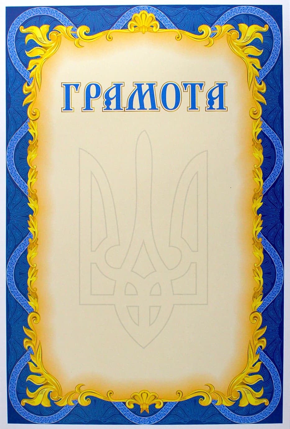 Грамота А4 №163200 асорті/Leader — купити | Канцелярський Сад