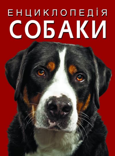Енциклопедія A4 "Собаки" №1067/Кристал Бук — купити | Канцелярський Сад