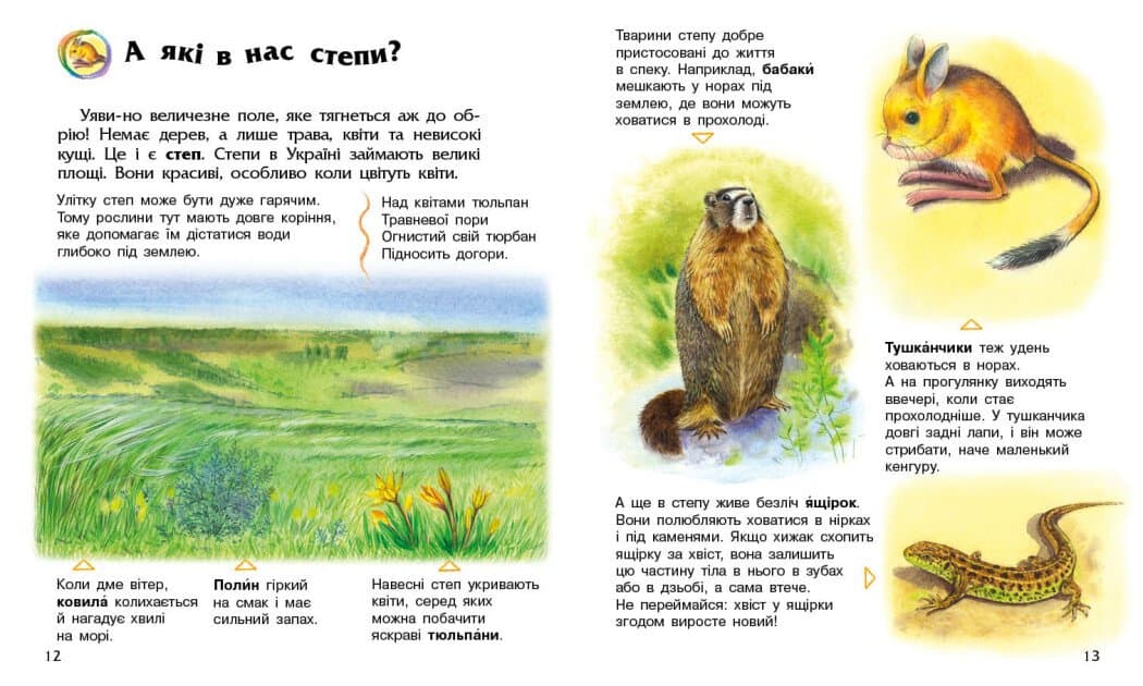 Енциклопедія А4 "Енциклопедія дошкільника (нова) : Україна №С614044У/9948/Ранок — фото 4