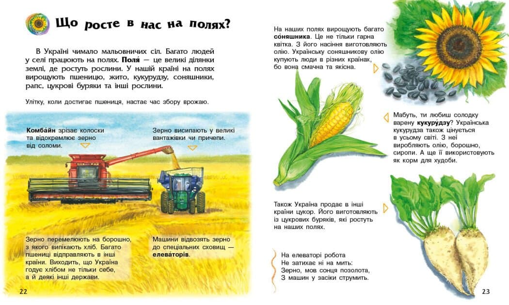 Енциклопедія А4 "Енциклопедія дошкільника (нова) : Україна №С614044У/9948/Ранок — фото 5