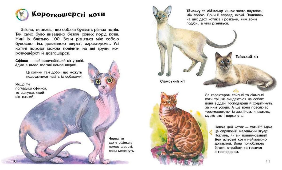Енциклопедія дошкільника В5 м'як."Коти"(укр.) №2741/Ранок — фото 3