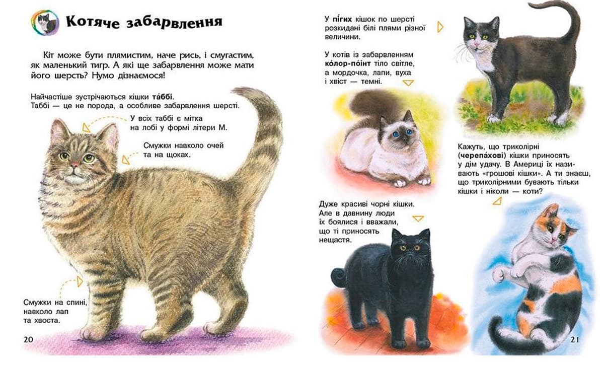 Енциклопедія дошкільника В5 м'як."Коти"(укр.) №2741/Ранок — фото 5