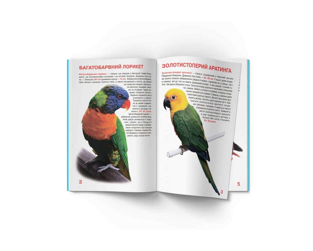 Книжка В4 "Велика книжка. Папуги" №8283/Кристал Бук — фото 3