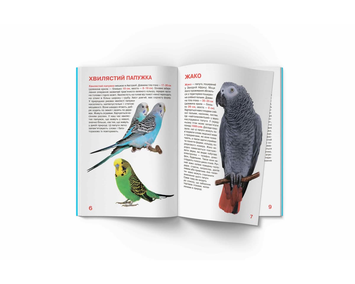 Книжка В4 "Велика книжка. Папуги" №8283/Кристал Бук — фото 4