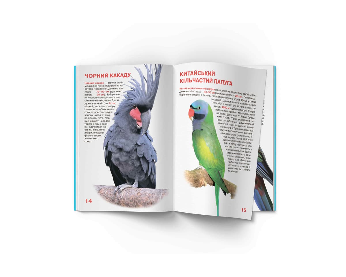 Книжка В4 "Велика книжка. Папуги" №8283/Кристал Бук — фото 6