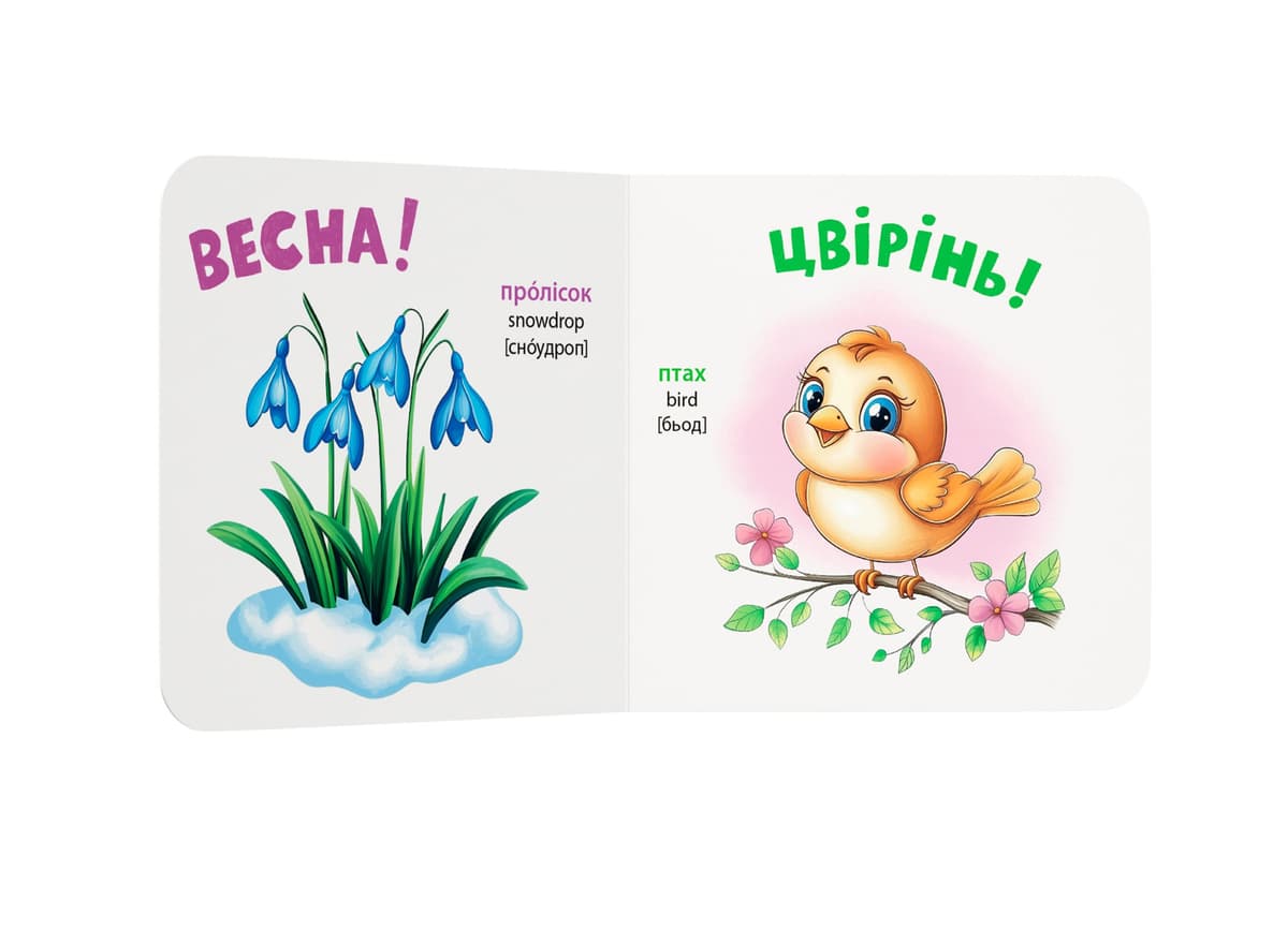Книжка В6 "Розглядайка-розвивайка. Пори року" №5911/Кристал Бук — фото 4