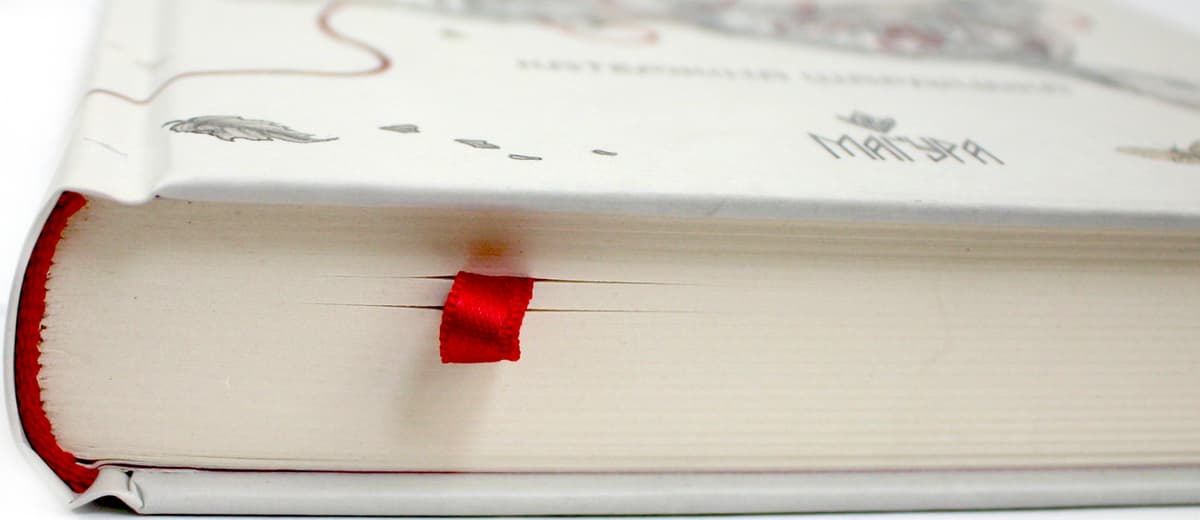 Книжка А5 "Ночі бісів" Катержіна Шардіцька/Школа — фото 5