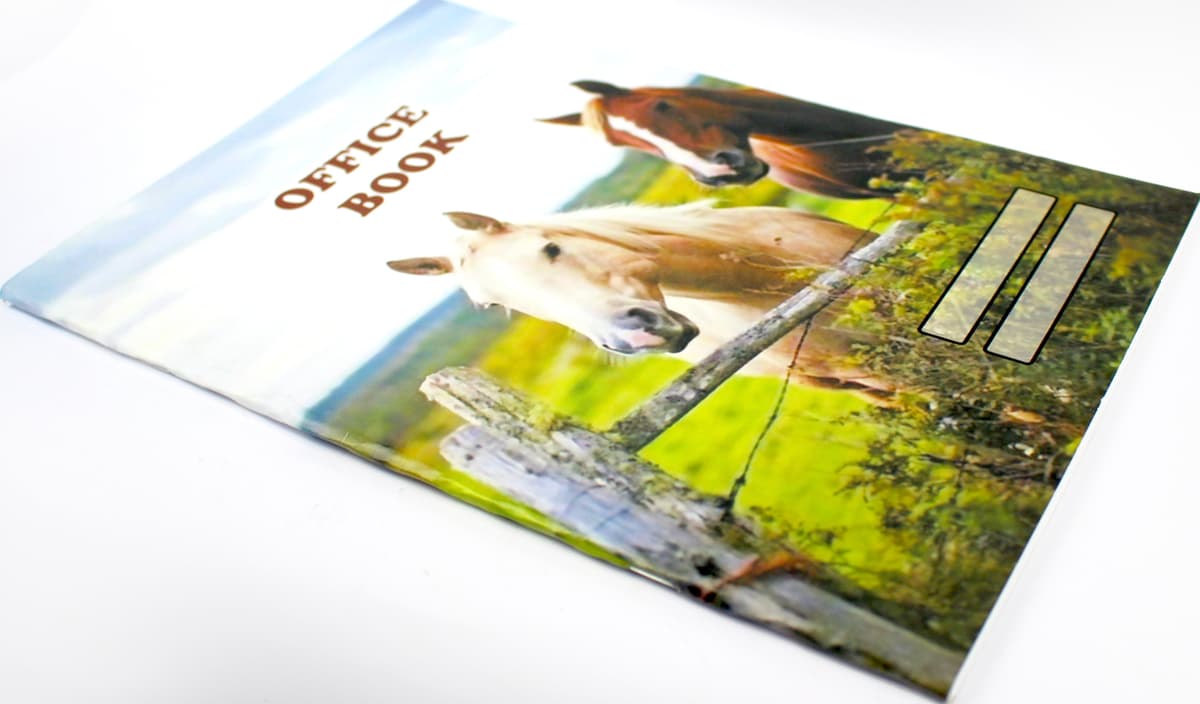 Книга-канц. А4 60арк. кліт. м'яка обкл. офсет. №00100/Фолдер — фото 4