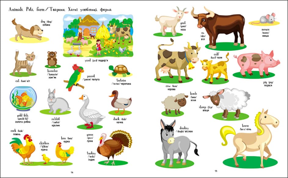 Книжка А4 "English for kids : Writing words. English for kids" (укр.)/Ранок — фото 4