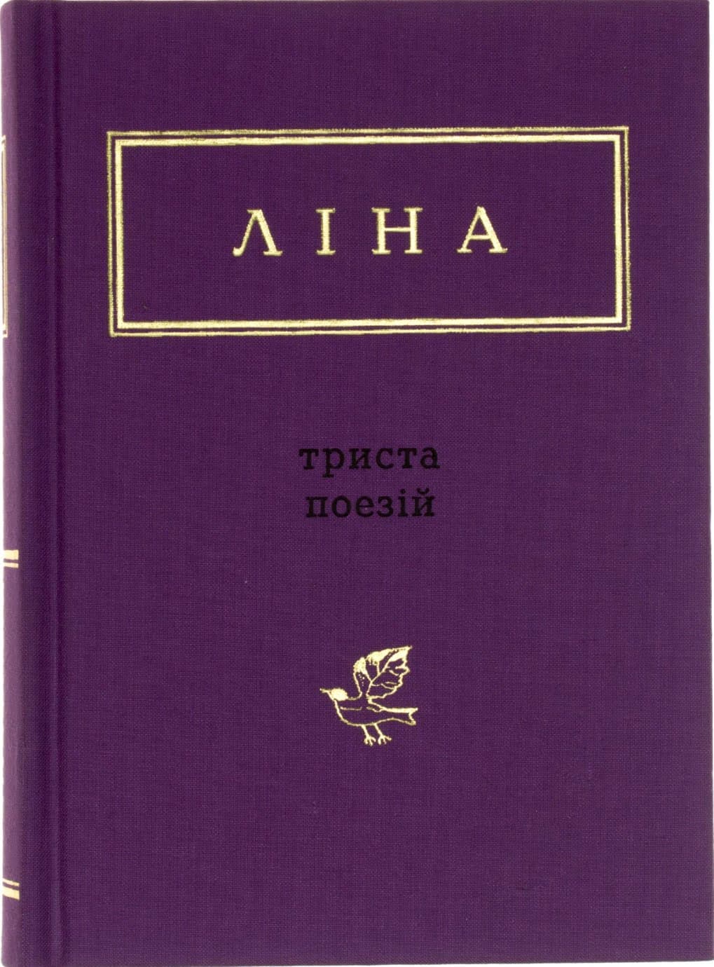 Книжка А6 "300 поезій" Костенко Ліна/А-ба-ба-га-ла-ма-га — фото товару | Канцелярський Сад