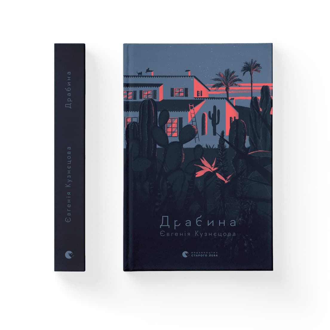 Книжка А5 "Драбина" Є.Кузнецова №0977 — купити | Канцелярський Сад