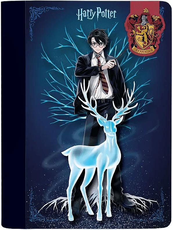 Блокнот А5 60арк. кліт. тв. обкл. Harry Potter з магнітною закладкою №HP25-192/Kite — купити | Канцелярський Сад