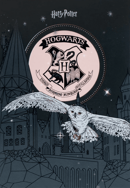 Блокнот А5 50арк. кліт. тв. обкл. Harry Potter №HP25-194-1/Kite — купити | Канцелярський Сад