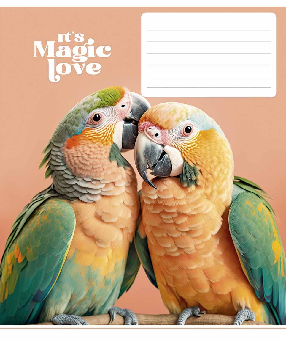 Зошит 12арк. лін. Star "It's a magic love" ВД-лак №012-3300L — купити | Канцелярський Сад