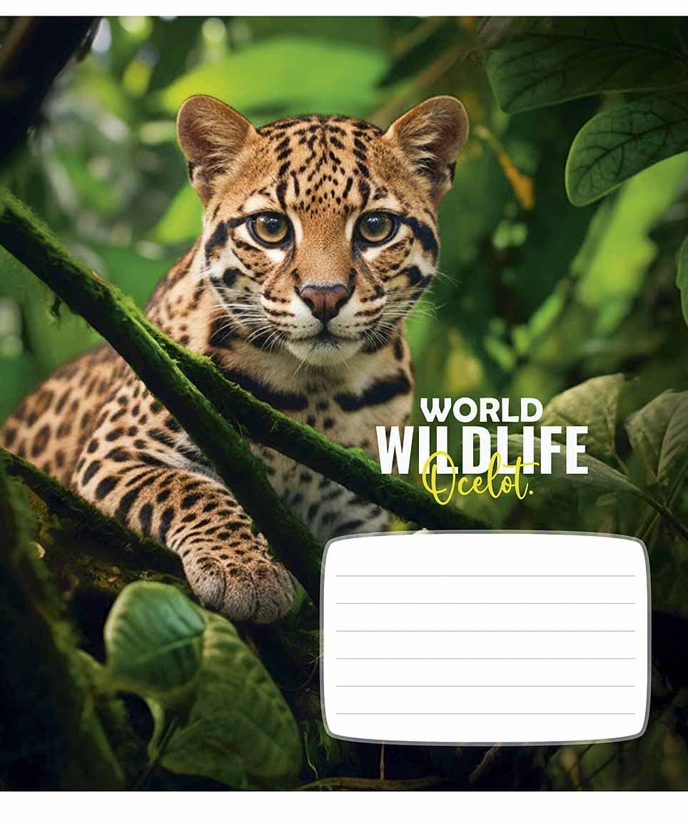 Зошит 18арк. лін. Школярик "Wildlife" ВД-лак №018-3679L — фото 3
