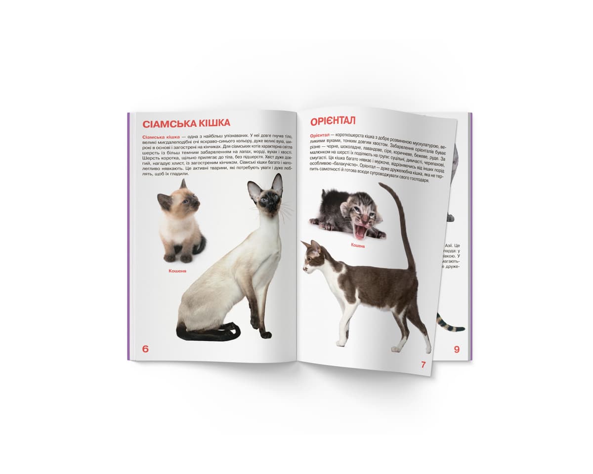 Книжка В4 "Велика книжка. Кішки" м'яка обкл №2579/Кристал Бук — фото 3