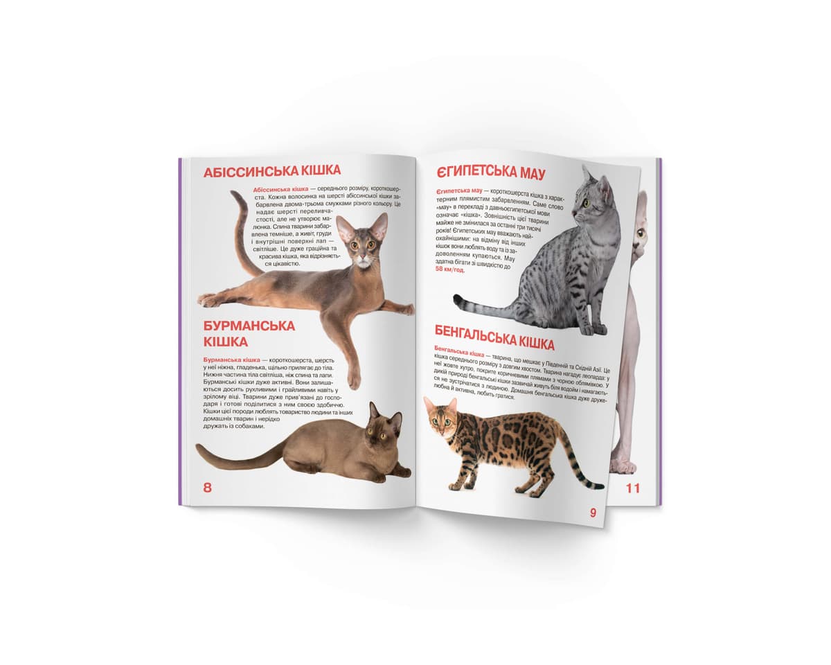 Книжка В4 "Велика книжка. Кішки" м'яка обкл №2579/Кристал Бук — фото 8