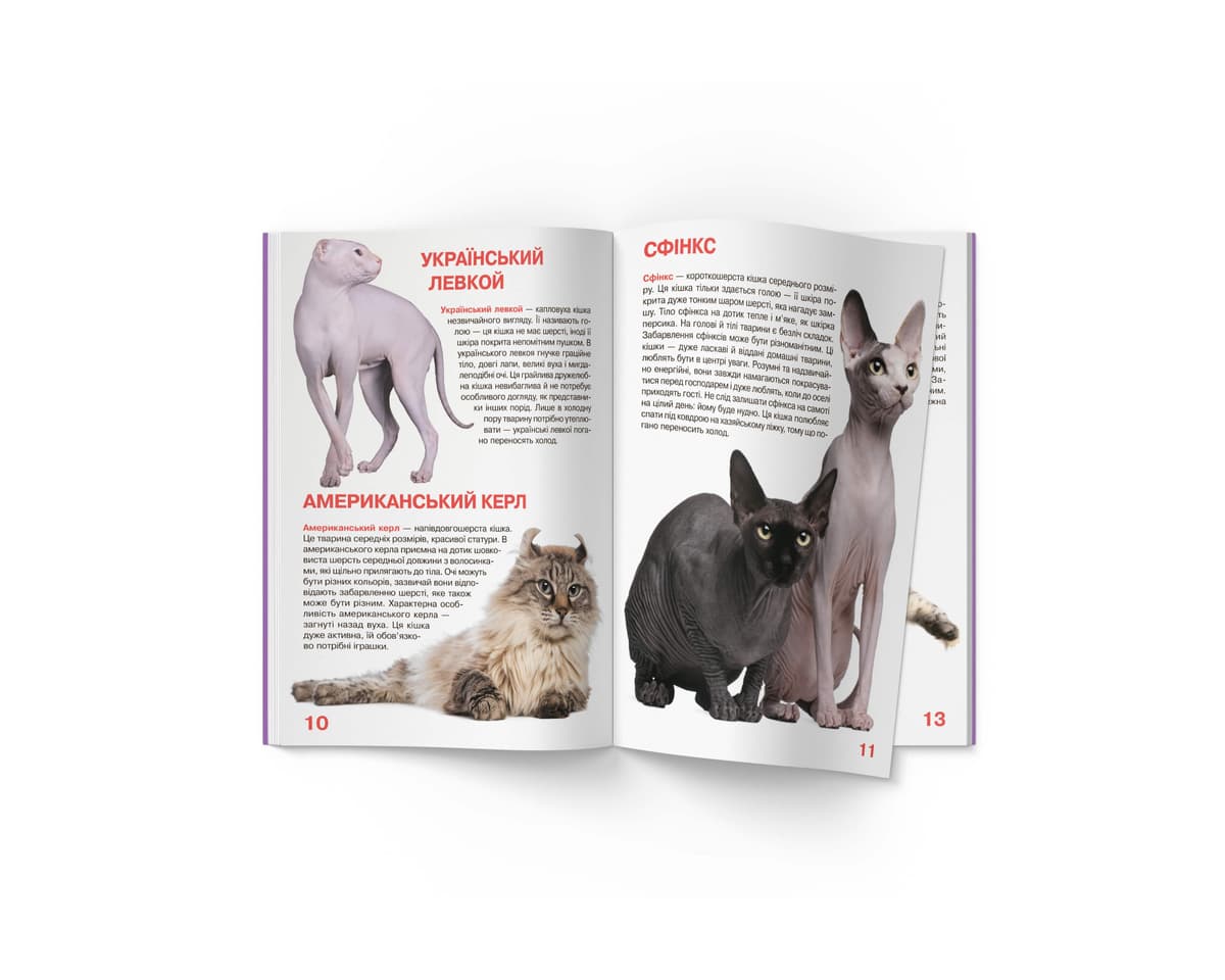 Книжка В4 "Велика книжка. Кішки" м'яка обкл №2579/Кристал Бук — фото 9