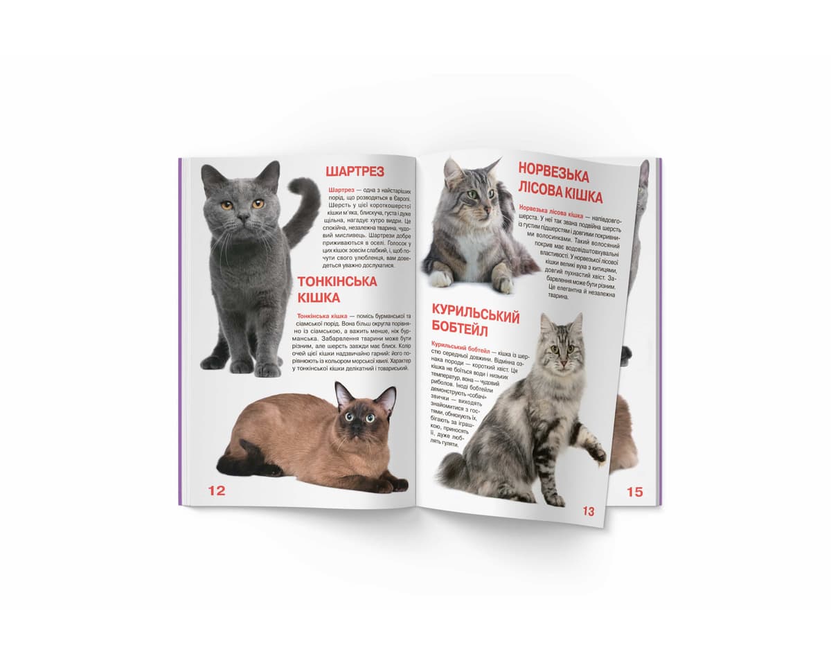 Книжка В4 "Велика книжка. Кішки" м'яка обкл №2579/Кристал Бук — фото 10