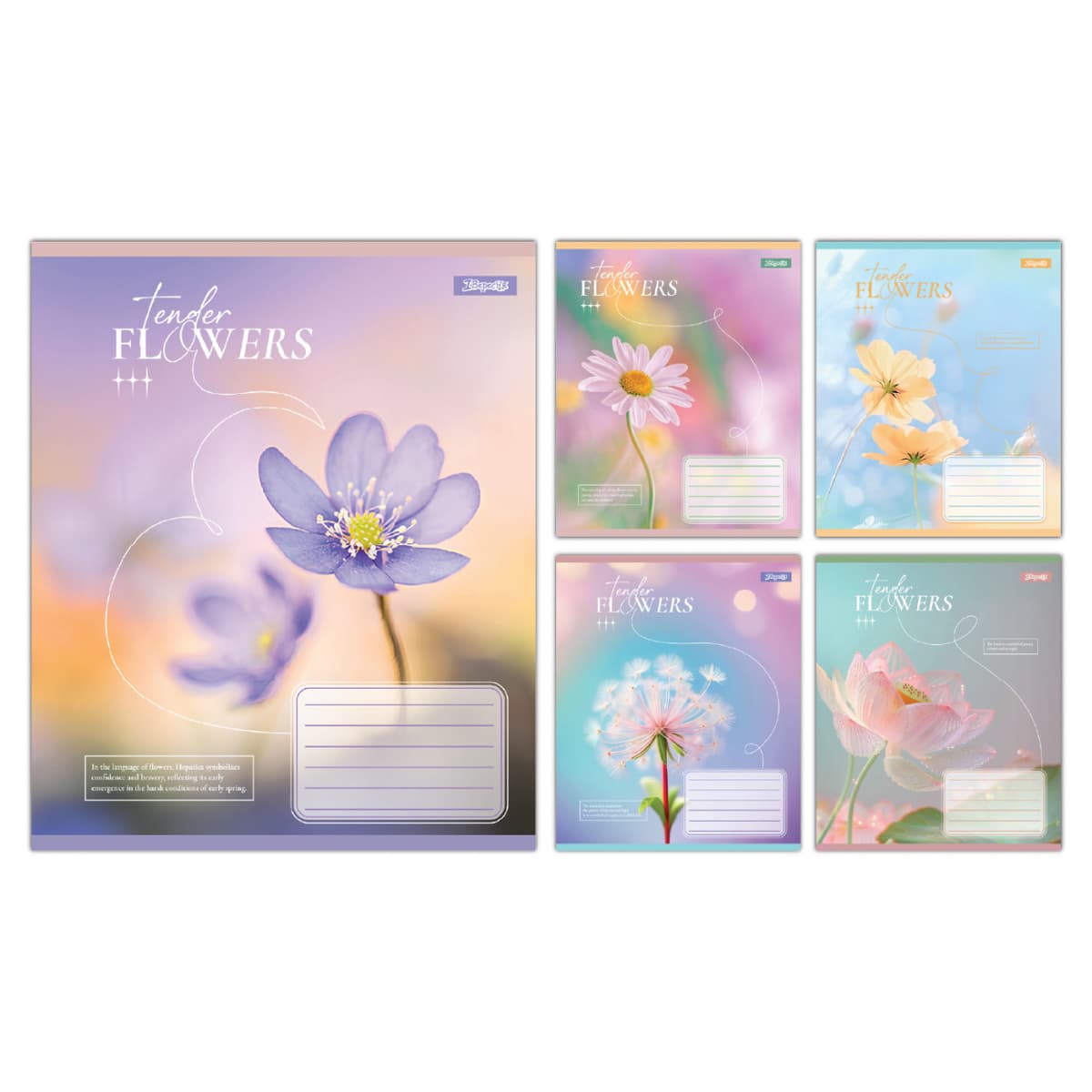 Зошит 18арк. кліт. 1В Tender Flowers №768074 — купити | Канцелярський Сад