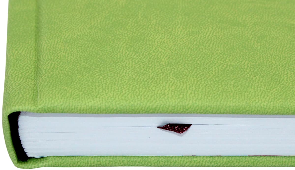 Щоден. А5 "Optima" дат2027 Vienna фісташковий №O26172 на резинці,тиснення фольга — фото 5