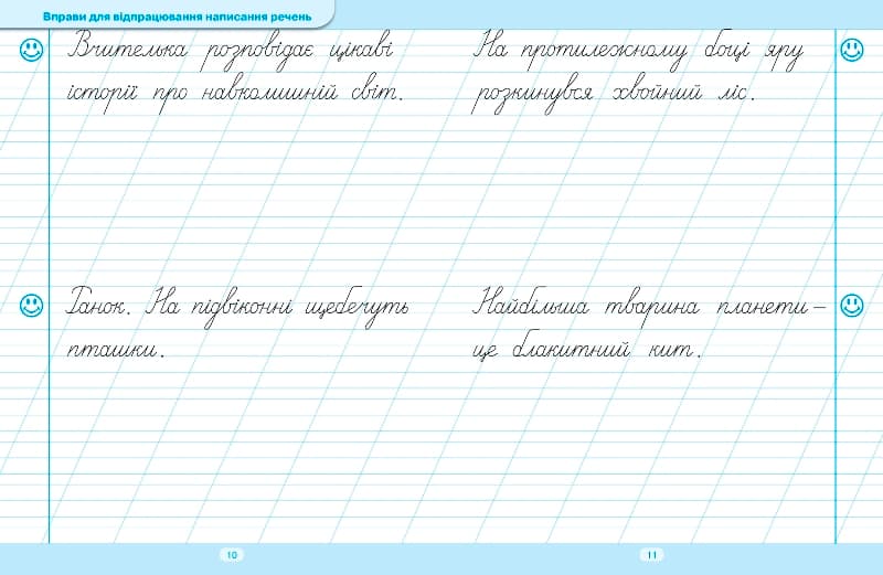 Книжка А5 "Тренажер для списування речень і текстів"/Видавництво Торсінг — фото 6