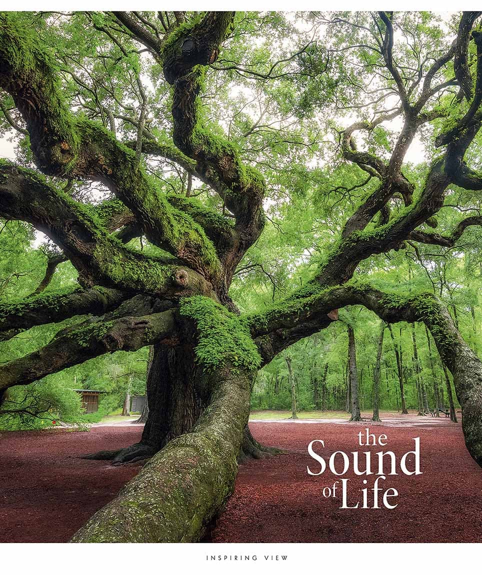 Зошит 96арк. лін. Star "The Sound of life" УФ лак №096-3347L — купити | Канцелярський Сад