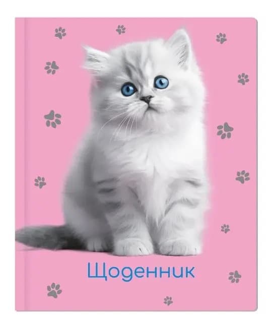 Щоденник шк. А5 "CoolForSchool" №MX29932-09 48арк — купити | Канцелярський Сад