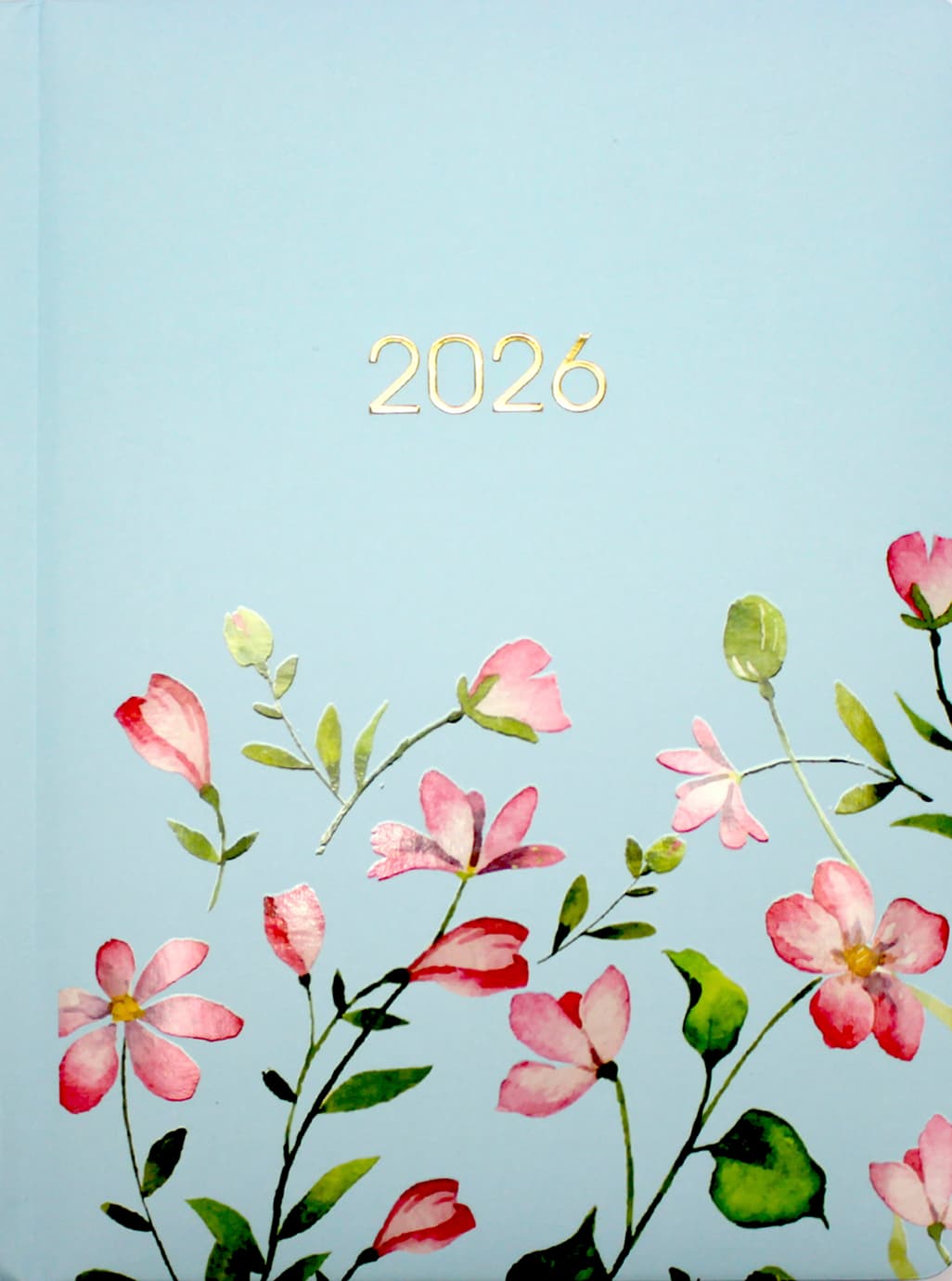 Щоден. А5 "Economix" дат2027 ніжність блакитна №E21839 — фото товару | Канцелярський Сад