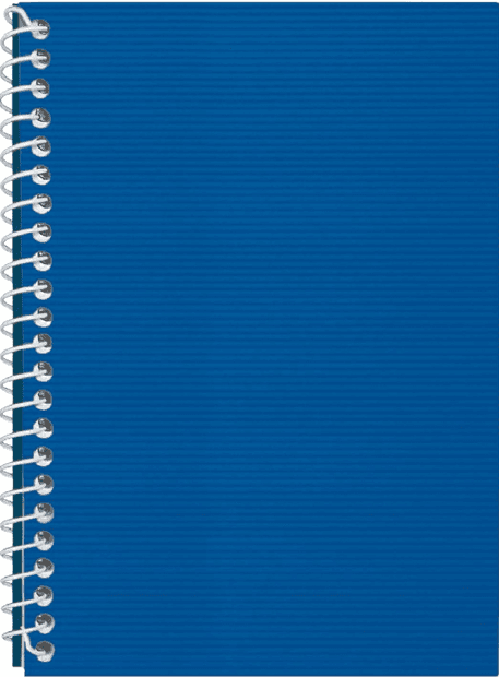 Блокнот пруж. бок. А5 48арк. кліт. пласт. обкл.,синій №E20302-02/Economix — купити | Канцелярський Сад