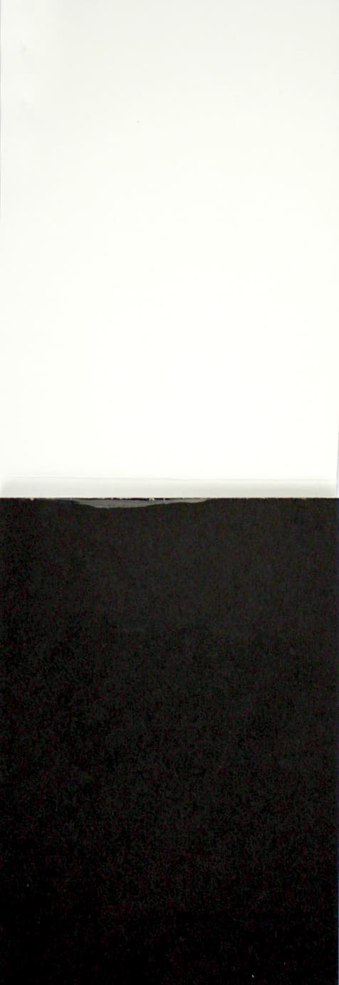 Скетчбук 20арк. А6 б/лін. "Animals sketchbook" four №31714/Profiplan — фото 6