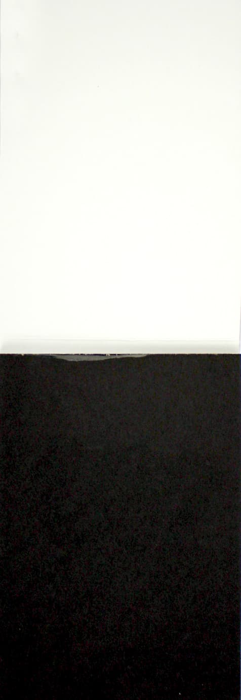Скетчбук 20арк. А6 б/лін. "Animals sketchbook" four №31714/Profiplan — фото 11