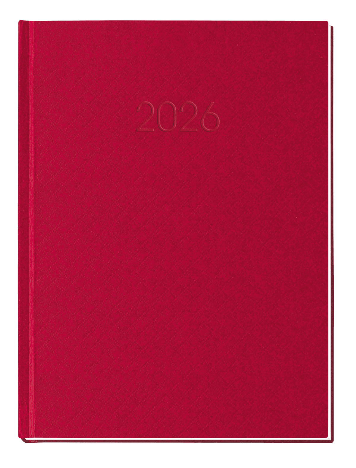 Щоден. А5 "Economix" дат2027 Клітинка червоний №E21609-03 — купити | Канцелярський Сад