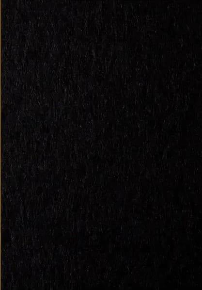 Папір кольор. А4 80г/м темн. Maestro Mondi Coloured B100 Black (чорний) — фото 4