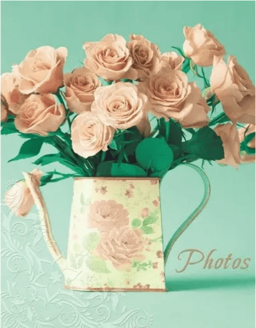 Фотоальбом "UFO" №PP-46200 10х15х200 Turquoise Rose — купити | Канцелярський Сад