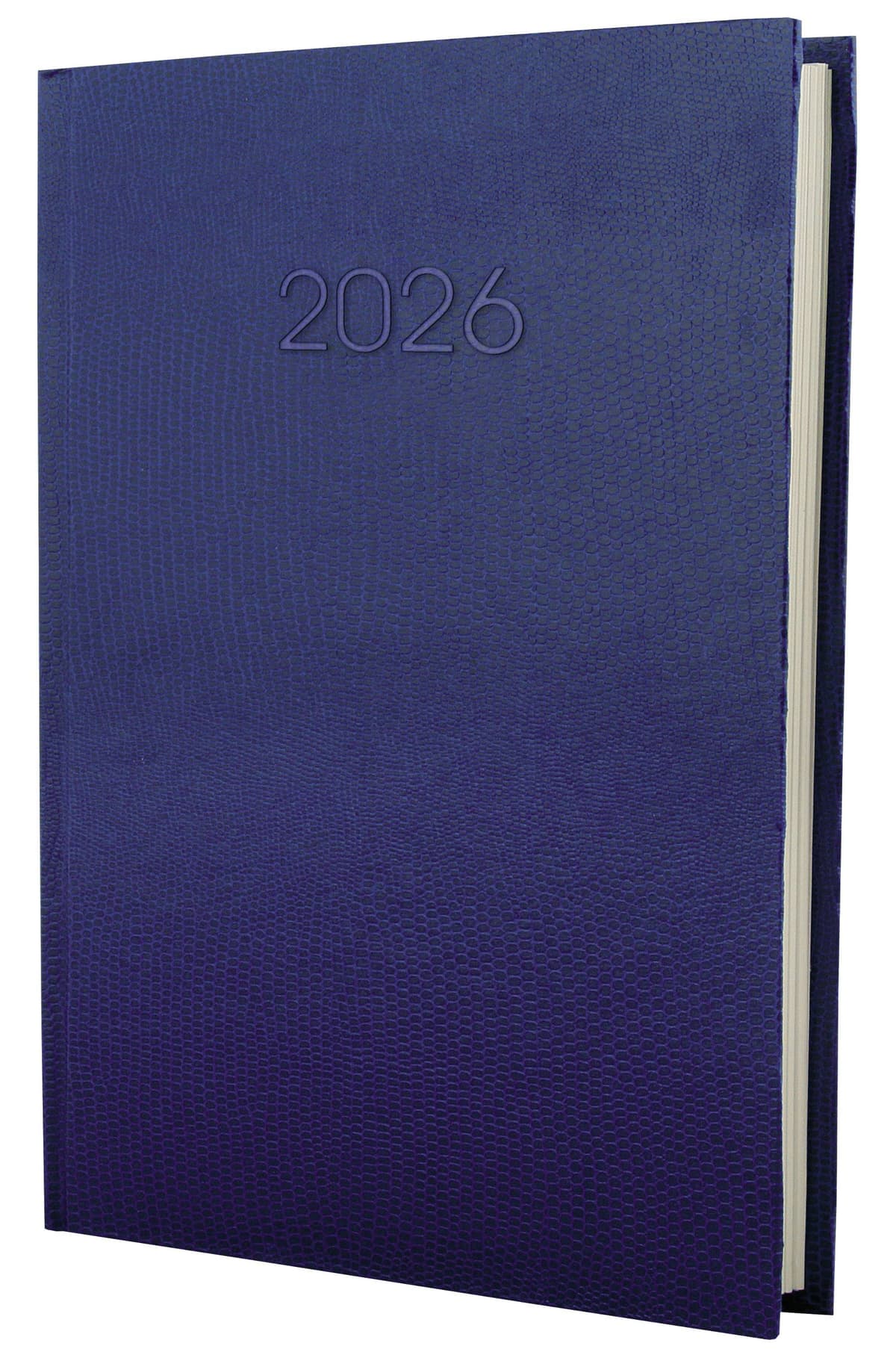 Щоден. А5 "Economix" дат2027 Snake(змія) синій №E21633-02 — купити | Канцелярський Сад