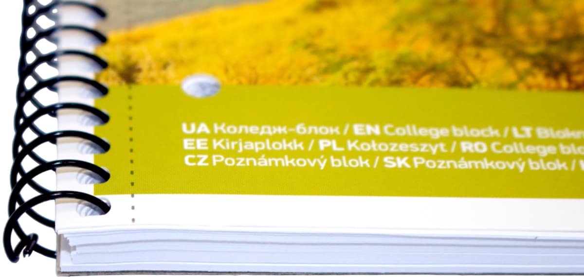 Коледж-блок А4 80арк. кліт. "Student" ВД-лак №A4-080-6529K/Школярик — фото 4