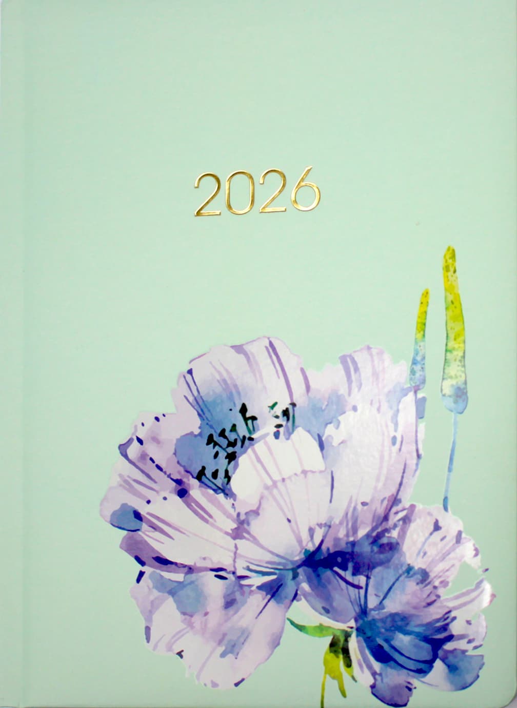 Щоден. А5 "Economix" дат2027 №E21852 — фото товару | Канцелярський Сад