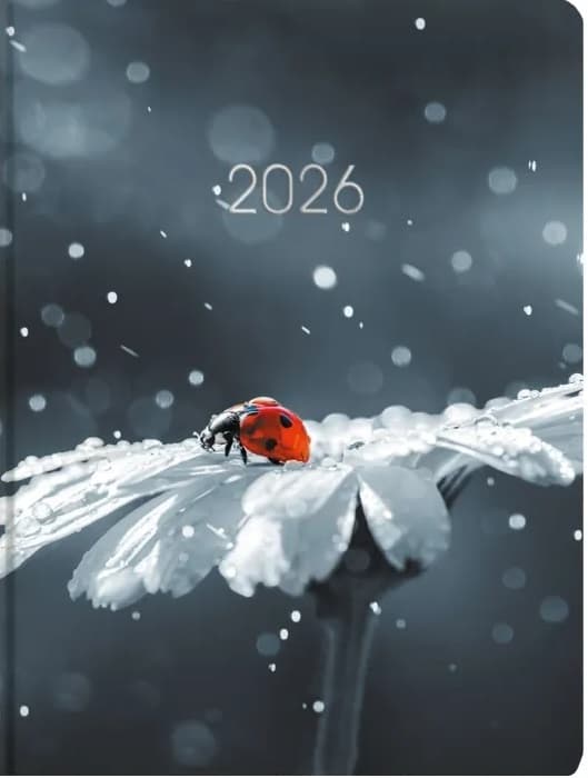 Щоден. А5 "Economix" дат2027 сонечко №E21899 — купити | Канцелярський Сад