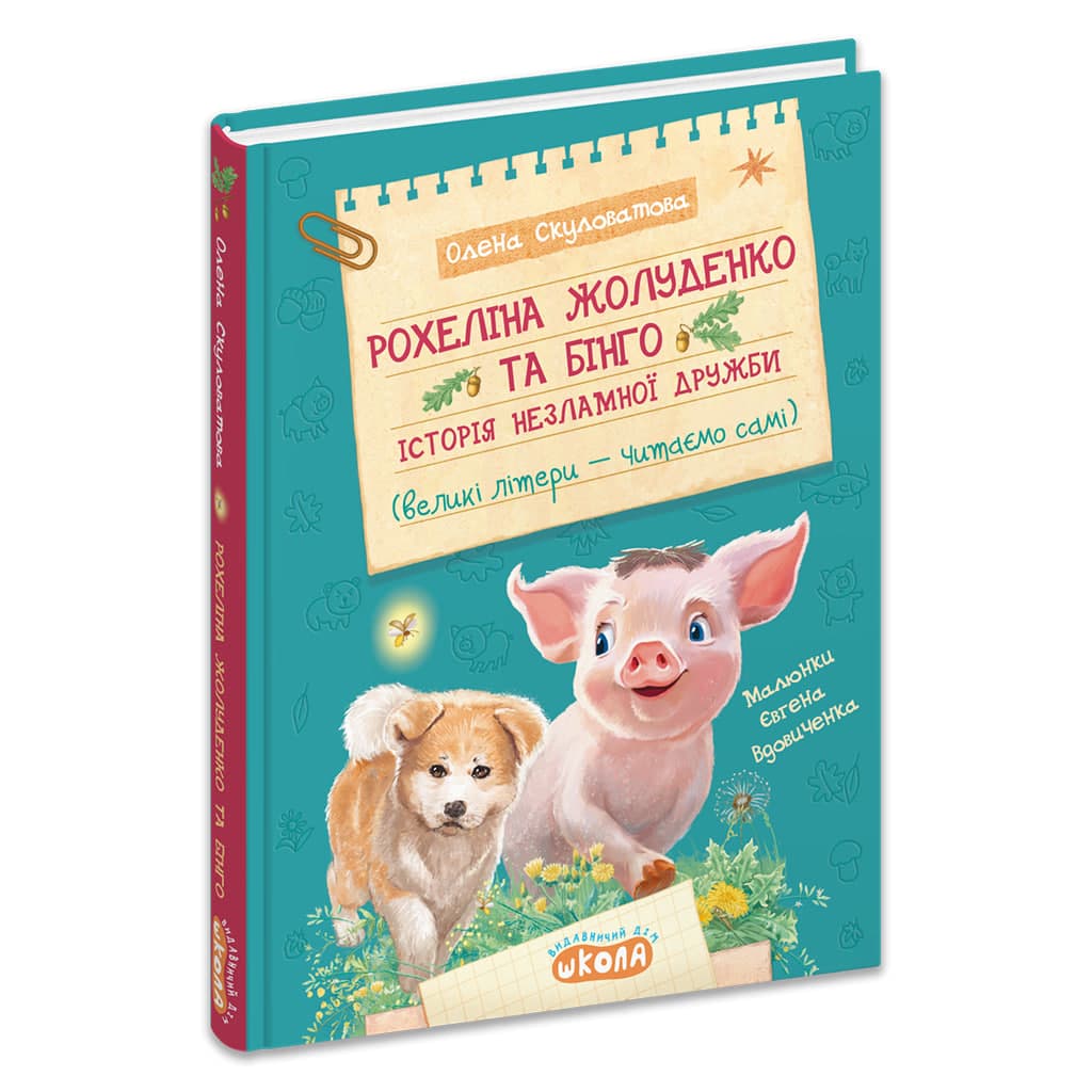 Книжка А5 "Рохеліна Жолуденко та Бінго. Моя перша бібліотечка" В.Нестайко /Школа — фото товару | Канцелярський Сад