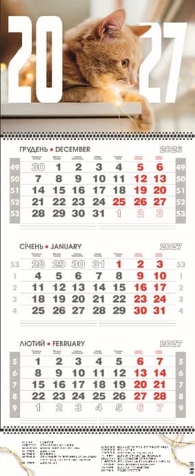 Календар кварт. настін. "Котик" 2027, 3 пружини — купити | Канцелярський Сад