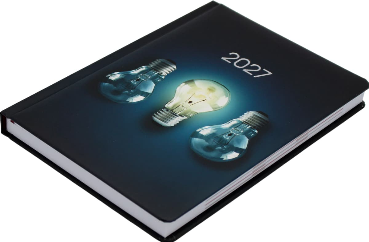 Щоден. А5 "Economix" дат2027 світло №E21943 — фото 4