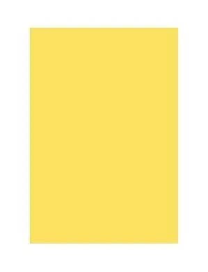 Папір кольор. А4 160г/м Maestro Color Intensive CY39 Canary Yellow (яскраво-жовт.) — фото товару | Канцелярський Сад