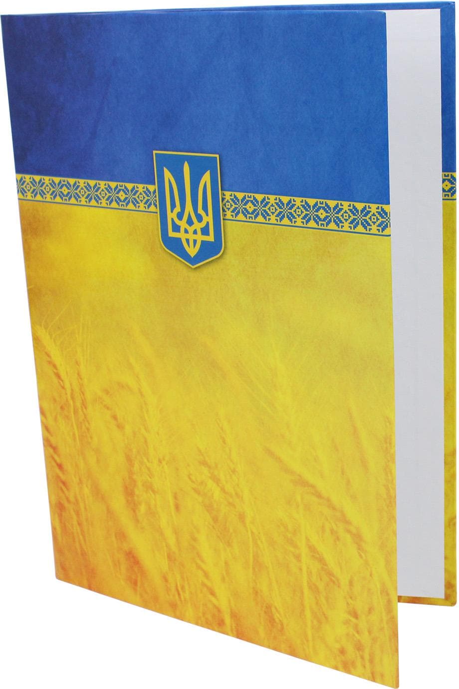 Папка А4 "До підпису" жовт.-блакитна №E30901-05/Economix — купити | Канцелярський Сад