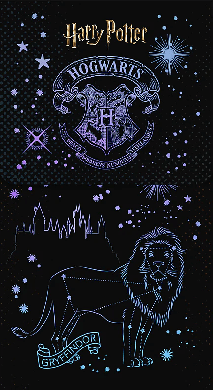 Блокнот А6 60арк. кліт. тв. обкл. на магніті "Harry Potter" №HP26-092/Kite — купити | Канцелярський Сад