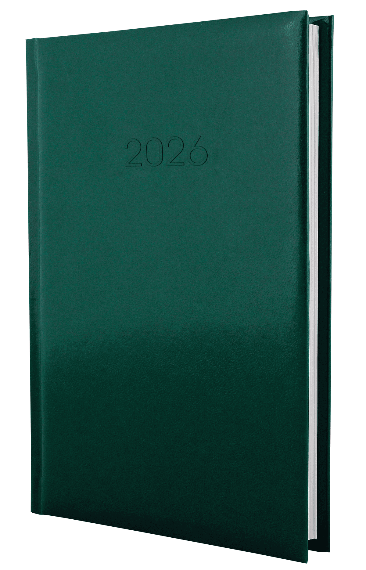 Щоден. А5 "Economix" дат2027 Flash зелений №E21606-04 — фото товару | Канцелярський Сад