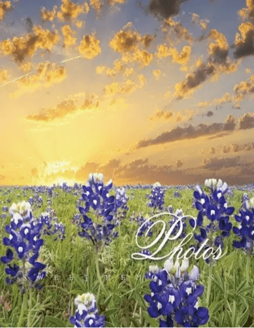 Фотоальбом "UFO" №PP-46200 10х15х200 Sunset field — купити | Канцелярський Сад