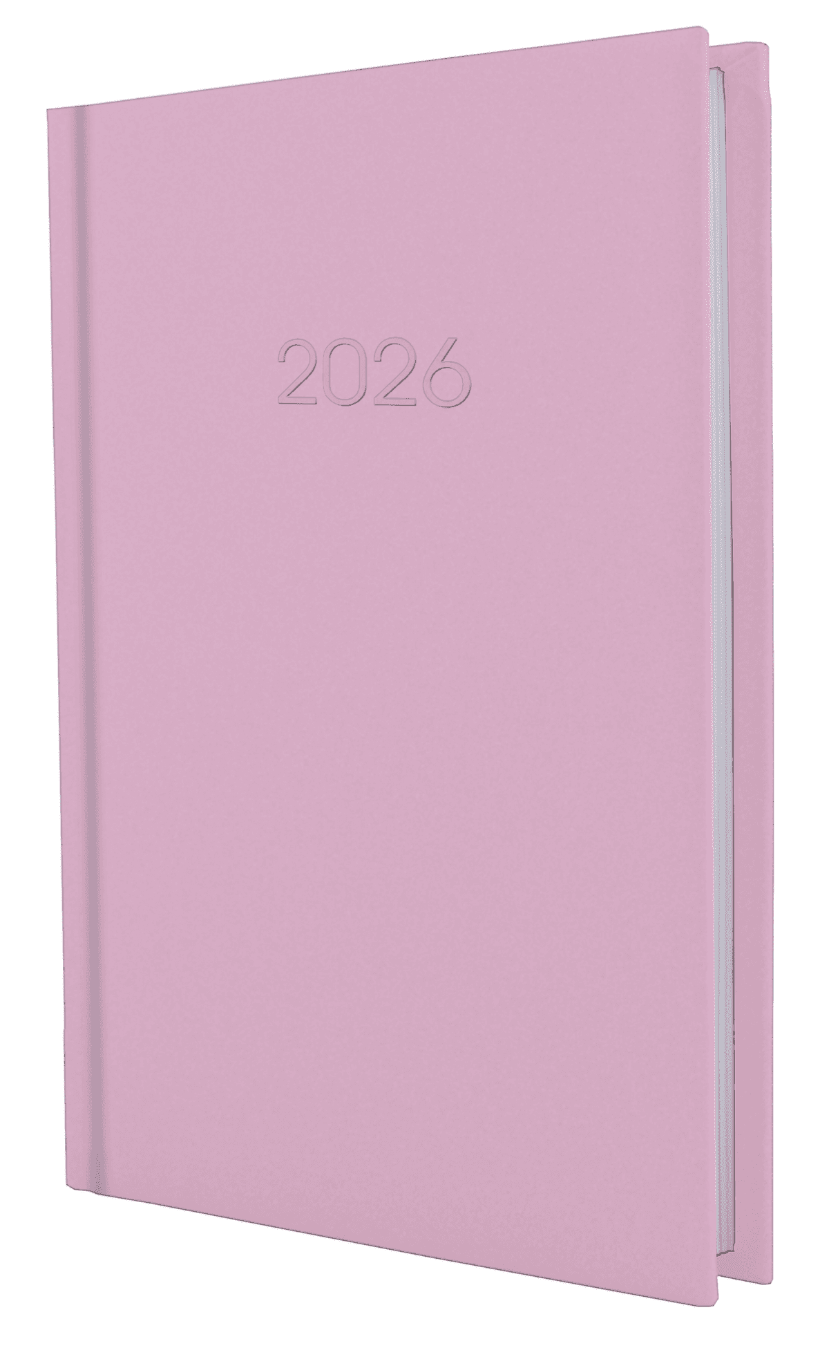 Щоден. А5 "Economix" дат2027 Satin рожевий №E21612-09 — фото товару | Канцелярський Сад