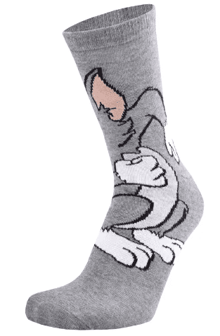 Шкарпетки дитячі "Tom&Jerry" 5404 р.22-24 сірий — купити | Канцелярський Сад